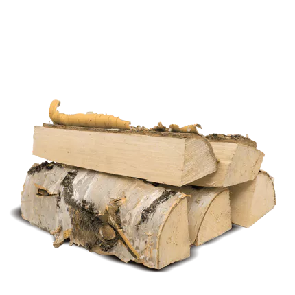 Brennholz Birke 1 RM 500 kg Heizwert: ≥ 4,2 kWh/kg  Asche: ≤ 0,5% - Brennholz